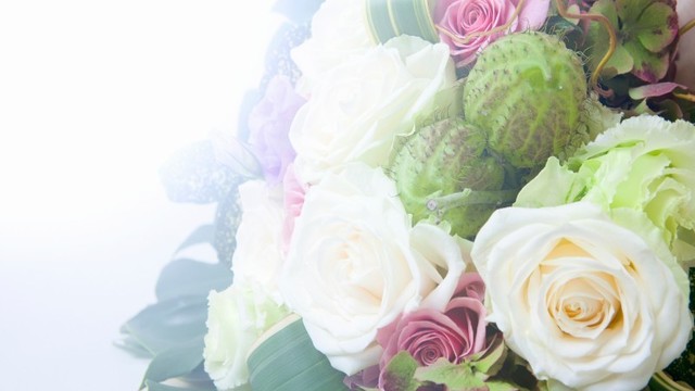 プリザーブドフラワーの脱色 脱水 失敗しない方法は Antenna アンテナ