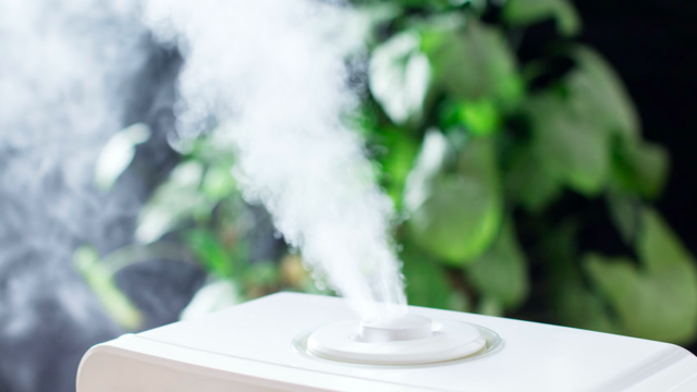 加湿器はペットボトルと100円グッズで自作 これで乾燥も怖くない Antenna アンテナ