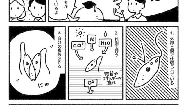 農業する昆虫 ハキリアリ のすごい能力 若い読者に贈る美しい生物学講義 Antenna アンテナ