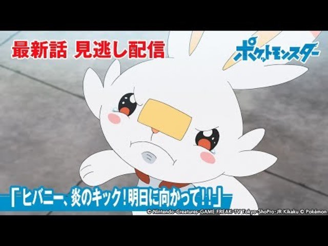 ポケモン アニメ ヒバニー Article