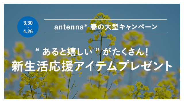 10312928 full 355a854c 08e7 4082 9978 f5832bcf8653