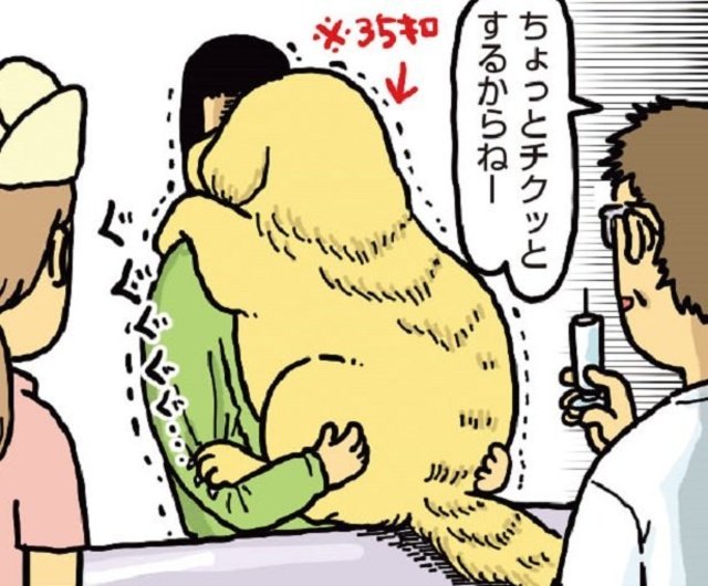 どうぶつ病院で異常事態 まめきちまめこニートの日常 こまちとタビ 1 Antenna アンテナ