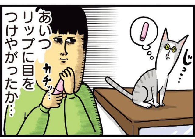 手に入れたい熱がすごい猫 まめきちまめこニートの日常 こまちとタビ 6 Antenna アンテナ