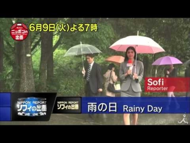 外国人が不思議がる 傘であふれるニッポン 6 9 火 所さんのニッポンの出番 Tbs Antenna アンテナ