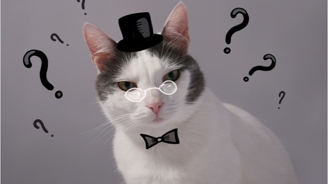 さしずめ の正しい意味と使い方を解説 気になる類義語も要チェック Antenna アンテナ