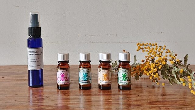 超簡単に作れる 夏の必需品 アロマが香る頭皮スプレー の作り方 Antenna アンテナ