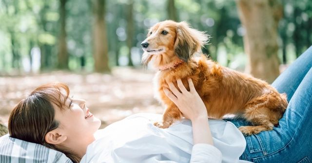 犬の散歩をサボってごめんなさい 外出自粛で実感した犬の気持ちに共感の声が殺到 反省します こういう気持ちだったんだ Antenna アンテナ