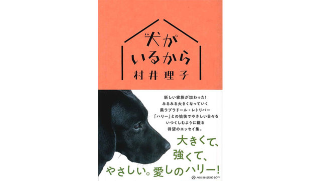 愉快で大変 大型犬のいる生活を疑似体験 犬がいるから Antenna アンテナ