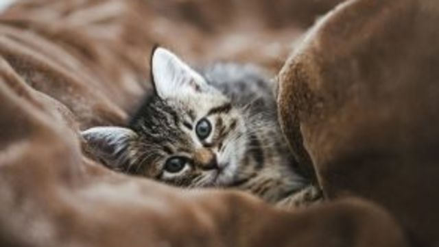 Sns時代の悲劇 写真を撮るのが 下手すぎる彼氏 への苦悩3 Antenna アンテナ