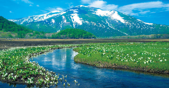 ふるさとの絶景 群馬県 澄んだ空気に映える鮮やかな緑 心洗われる 夏の尾瀬ヶ原 Antenna アンテナ