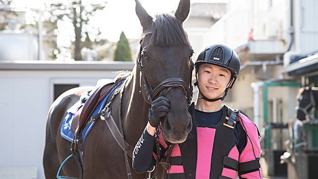 競走馬が食用馬肉に 世界を揺るがす新たな 馬肉 問題 Antenna アンテナ