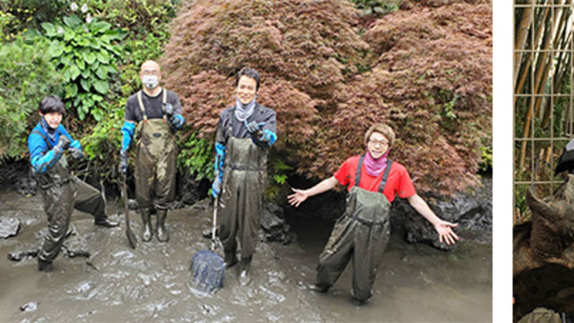 ソーシャルディスタンスを保ちながらの水抜きに挑戦 緊急sos 池の水ぜんぶ抜く大作戦 コロナ自粛3ヶ月で池が緊急事態 異常発生 衝撃の怪物オールスターズ Antenna アンテナ