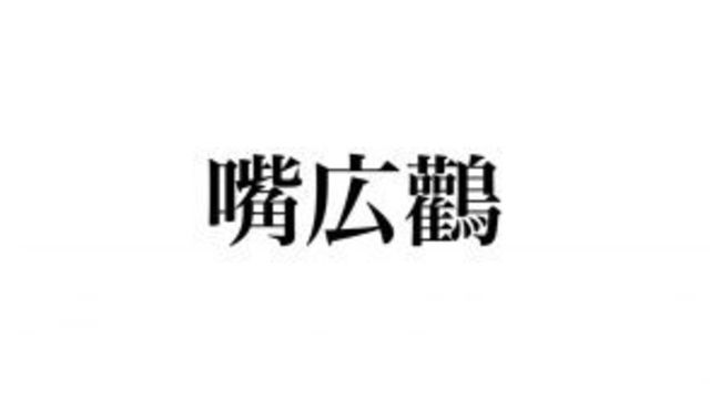 嘴広鸛 読めますか 密かなファンも多いあの鳥のこと Antenna アンテナ 嘴広鸛 読めますか 密かなファンも多いあの鳥のこと Antenna アンテナ