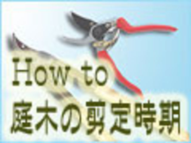 庭木の剪定時期や方法を解説 代表的な花木16種の剪定 Antenna アンテナ