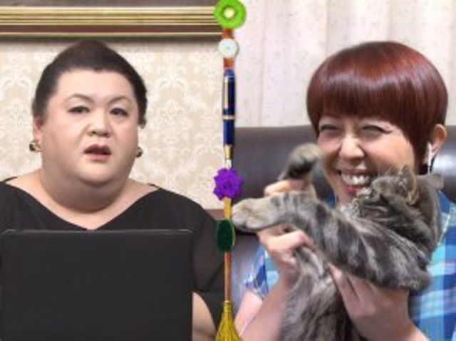 Snsやyoutubeで話題の猫動画で人生が激変 人気ネコの飼い主さんたちに迫る Antenna アンテナ