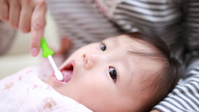 赤ちゃんの歯磨きはいつから どうやって 正しく歯磨きする方法 Hanako ママ Web Antenna アンテナ