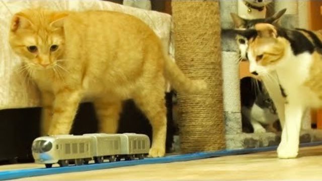 車載カメラ プラレールを熱海城の天守閣で走らせてみたら絶景だった Plarail In Atami Castle Camera Car Pov Antenna アンテナ