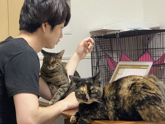 志高い獣医さんはu201cにゃんこにデレデレu201d。サビ猫「らいむ」との出会いは