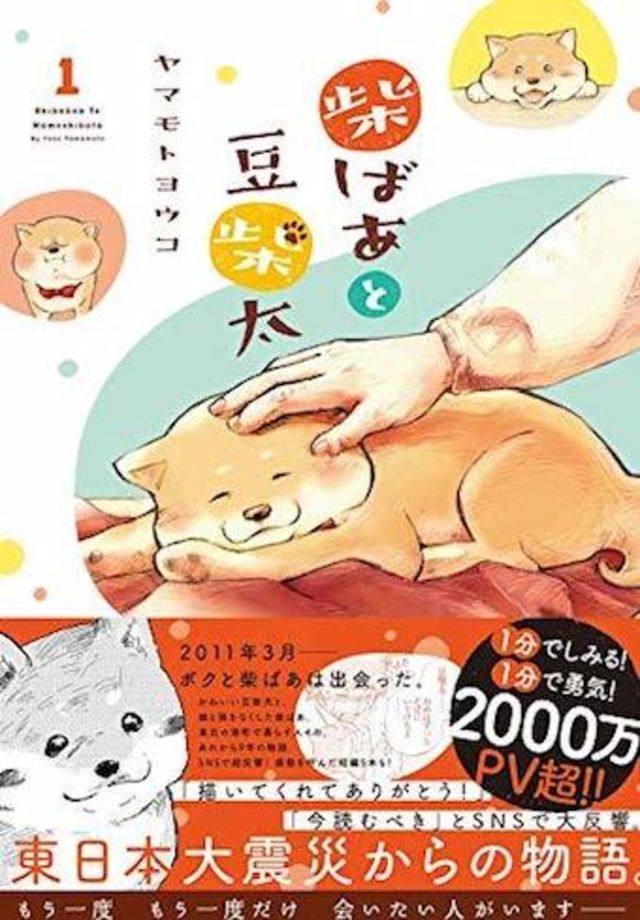 漫画 5分で勇気が湧く おばあちゃんを元気にしたい犬がとった 驚きの行動 とは Antenna アンテナ