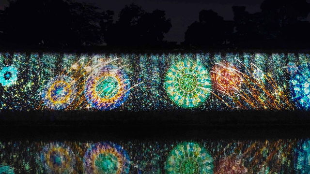 二条城桜まつり21 本日スタート 夜は Naked Flowers で桜と光のアートを体感 Antenna アンテナ