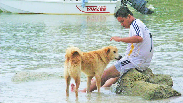 ダウン症の小学生を支えるテリア犬は 兄であり弟であり親友 Antenna アンテナ