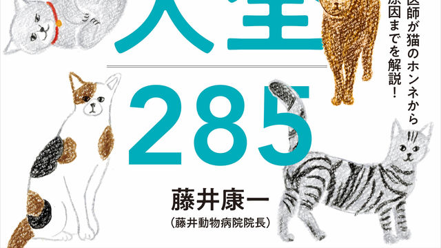 うらめしや 犬が 幽霊ポーズ をするときの心理は 獣医師監修 Antenna アンテナ