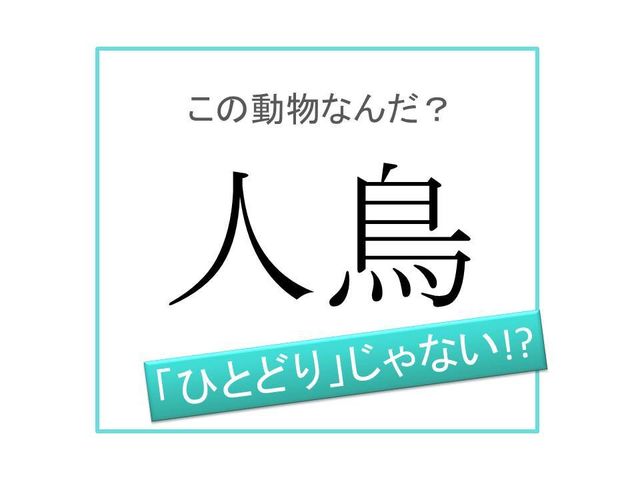 動物漢字 ひとどり ではありません 人鳥 は何と読む Antenna アンテナ