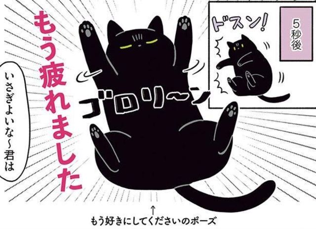 諦めが早いな 黒猫ろんと暮らしたら2 2 Antenna アンテナ