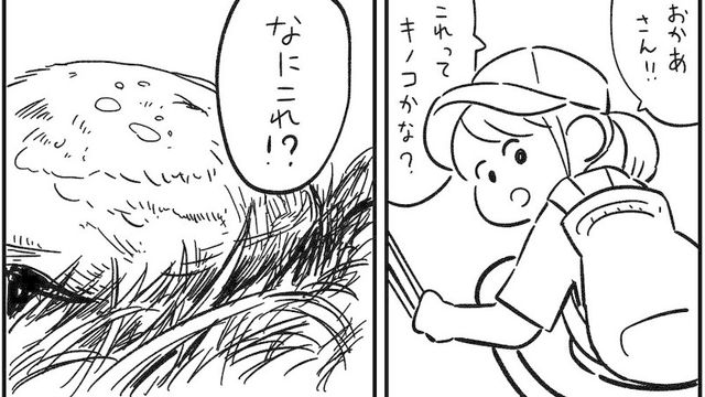なんて可愛いフォルム ポケモンのチコリータにしか見えないゴーヤが可愛すぎると話題に Antenna アンテナ
