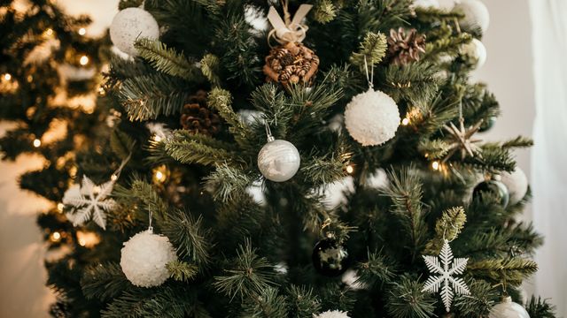 毎年大人気 イケアの生木のクリスマスツリー 16年も販売 Antenna アンテナ