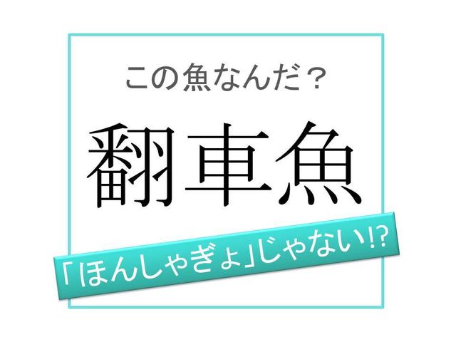 魚漢字 ほんしゃぎょ ではありません 翻車魚 は何と読む Antenna アンテナ