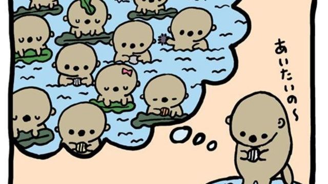 寝るときはみんなで手をつなぐ 可愛すぎる ラッコの習性 に心がほっこりする Antenna アンテナ