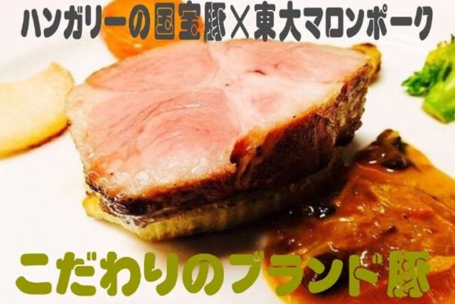 コロナにもコレラにも負けない 世界に通用する豚 究極の豚 を食べてみませんか Antenna アンテナ