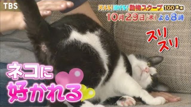 笑える 泣ける 動物 スクープ 100 連発