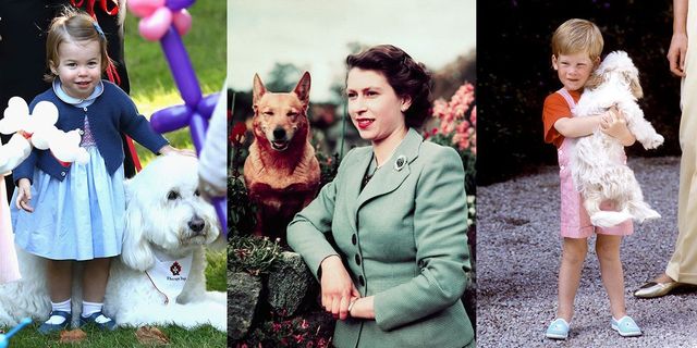 みんな犬派 写真で振り返るイギリス王室メンバーとワンちゃん Antenna アンテナ