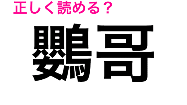 え なんの鳥 鸚鵡 の読み方が難しすぎる 読めたらスゴい漢字 Antenna アンテナ