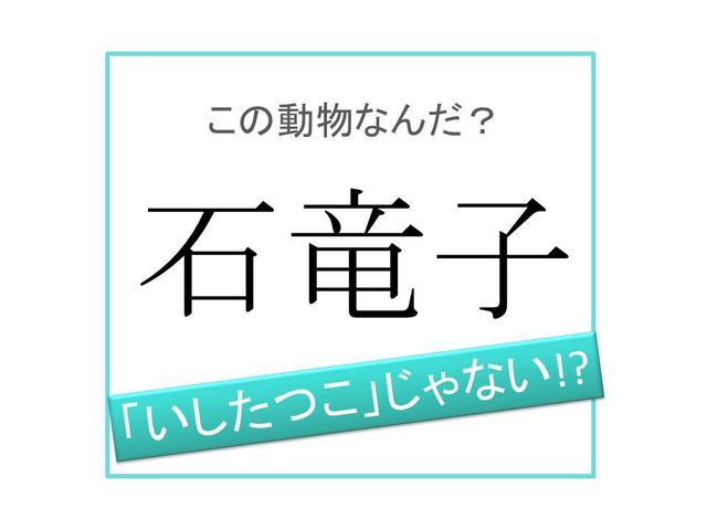 動物漢字 いしたつこ ではありません 石竜子 は何と読む Antenna アンテナ