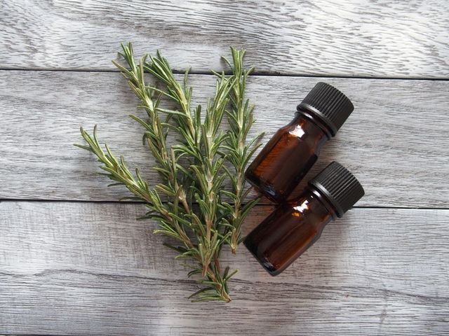 アロマオイル ローズマリーカンファー の効能とは Antenna アンテナ