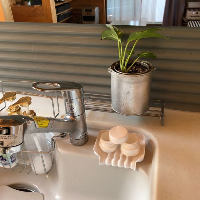 100均のあれをシンク隅のデッドスペースに ちょい置きの水切りとして代用 Antenna アンテナ