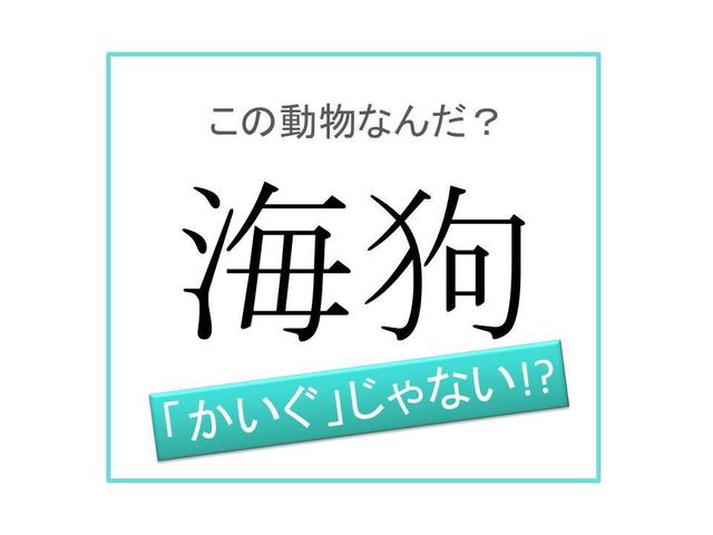 動物漢字 かいぐ ではありません 海狗 は何と読む Antenna アンテナ