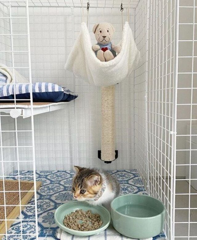 100均のワイヤーネットで 豪華 猫用ケージ が作れちゃう Antenna アンテナ