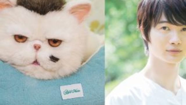 猫パイセンに新メンバー加入！【保護猫という選択】  antenna*[アンテナ]