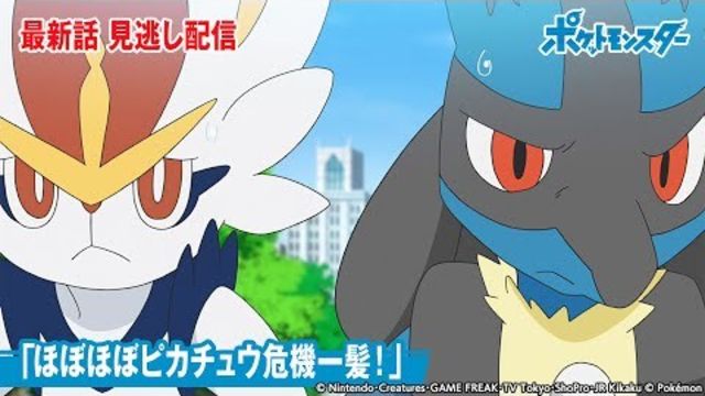 公式 アニメ ポケットモンスター 第48話 ほぼほぼピカチュウ危機一髪 期間限定配信 Antenna アンテナ