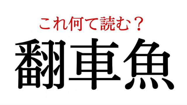 難読漢字 翻車魚 って読めますか 意外と難しい Antenna アンテナ