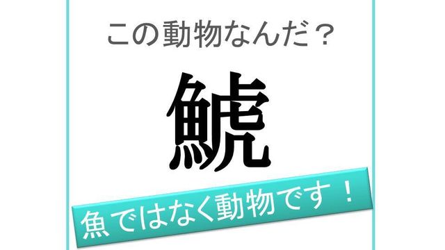 シャチ ではない 海豹 の読み方 知っていますか Antenna アンテナ