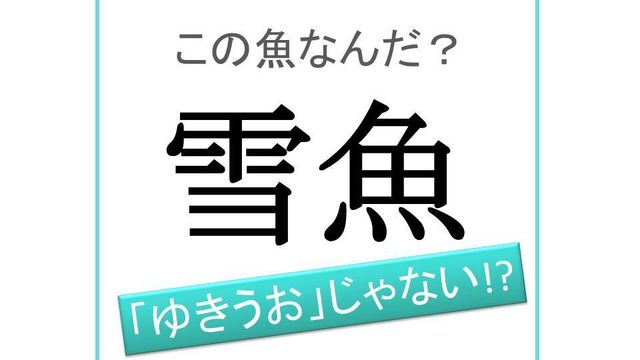 魚漢字クイズ 大口魚 なんの魚 青森県の郷土料理にも使用 Antenna アンテナ