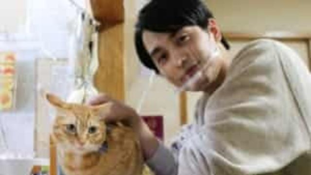 大西流星の もふもふ との1日が絵日記に なにわ男子で犬 猫っぽいメンバーは Antenna アンテナ