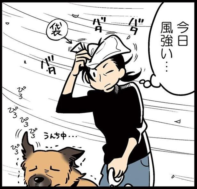 油断してしまった 雑種犬ゴンさんがダサかわいい 3 Antenna アンテナ