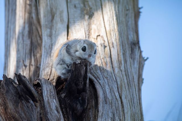 アクセス 玉露茶房 竹酔