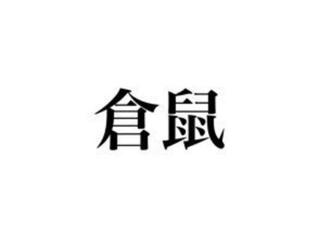 動物漢字クイズ 倉鼠 って何か分かる ペットとしても飼われるあの子です Antenna アンテナ